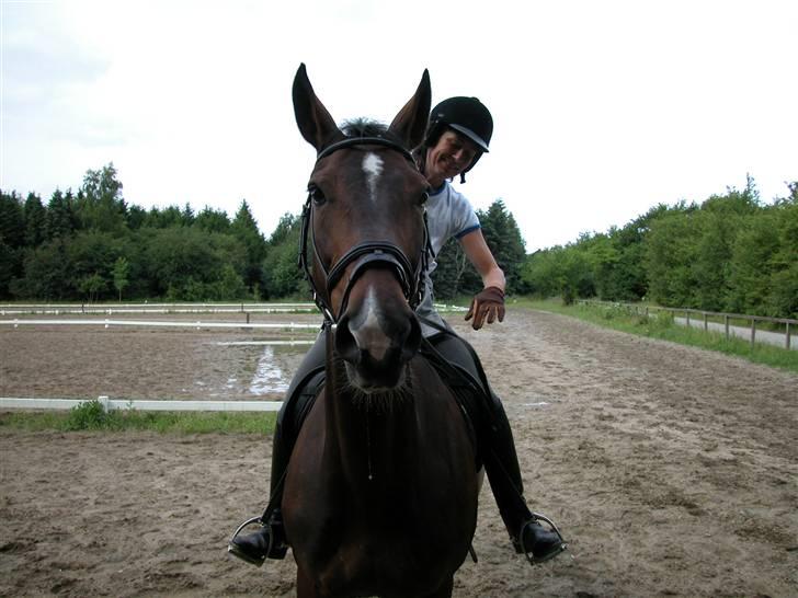 Anden særlig race Aicha billede 8