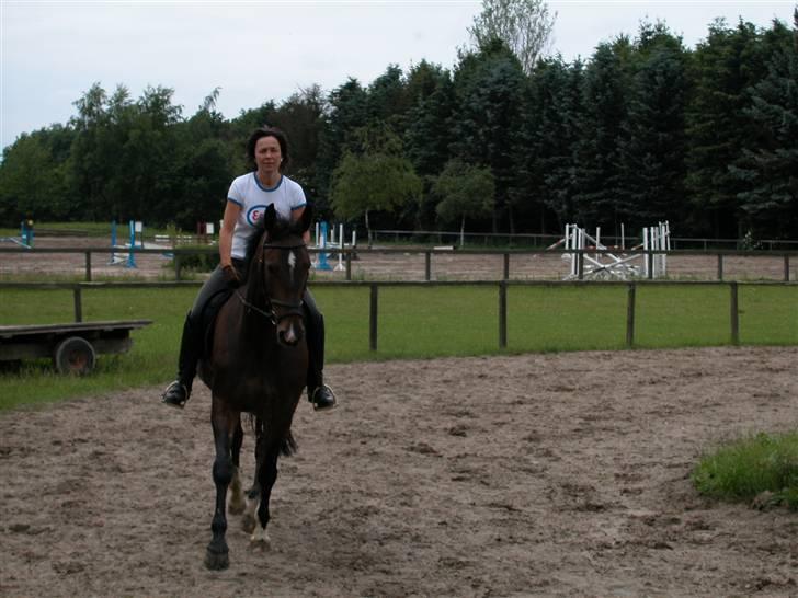 Anden særlig race Aicha billede 9