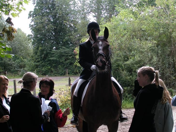 Anden særlig race Aicha billede 13