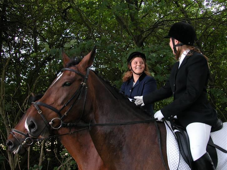 Anden særlig race Aicha billede 14