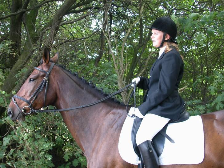 Anden særlig race Aicha billede 15