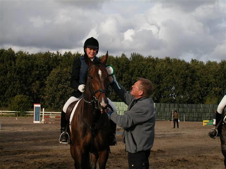 Anden særlig race Aicha billede 19