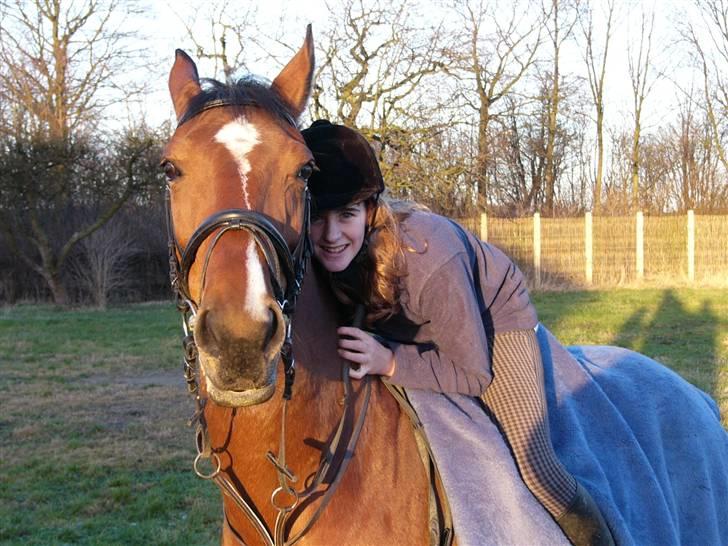 Anden særlig race Valdiné Z billede 5