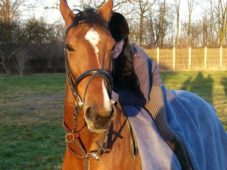 Anden særlig race Valdiné Z billede 6