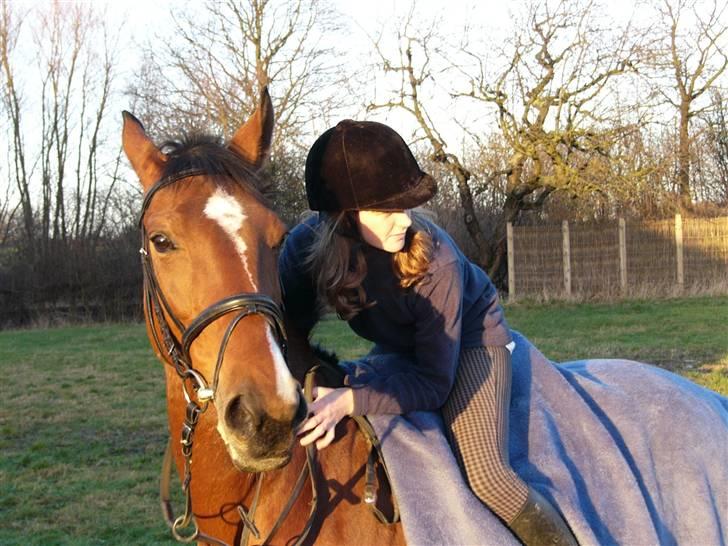 Anden særlig race Valdiné Z billede 7