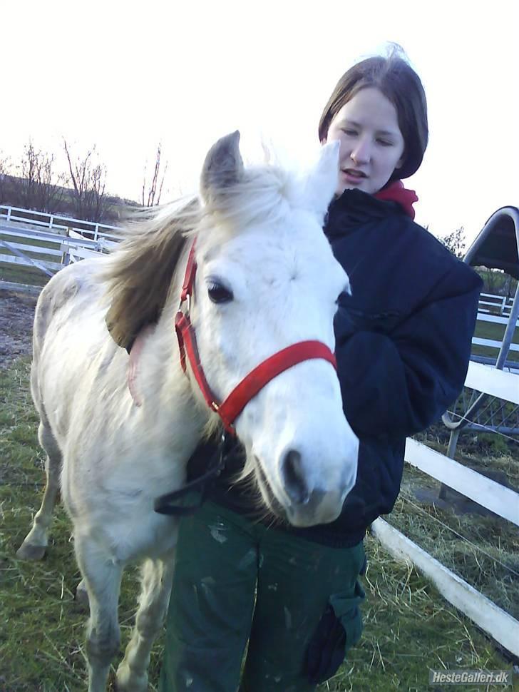 Anden særlig race tommelise aflivet d 25.8. - mig og tommelise billede 2