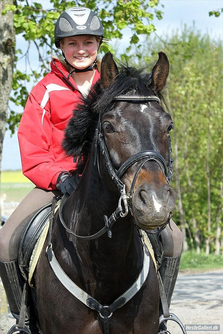 Welsh Partbred (Sec F) Viktor - Solgt :'( - Viggo og jeg efter træning :) Dobbelt logo, da det er taget fra Katrine Andreassens fotoalbum herinde, har tilladelse :) Foto: Kat, tak :D<3 billede 1