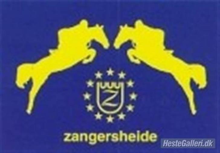 Zangersheide Azür Alfarvad Z †1/10-08† - Avlsforbundet Zangershide :) (hans race) billede 12