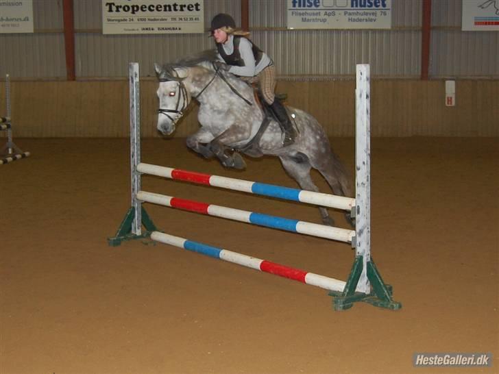 New Forest Odbjergs Isabell Udlånt - Flot stil Isa ;b billede 11
