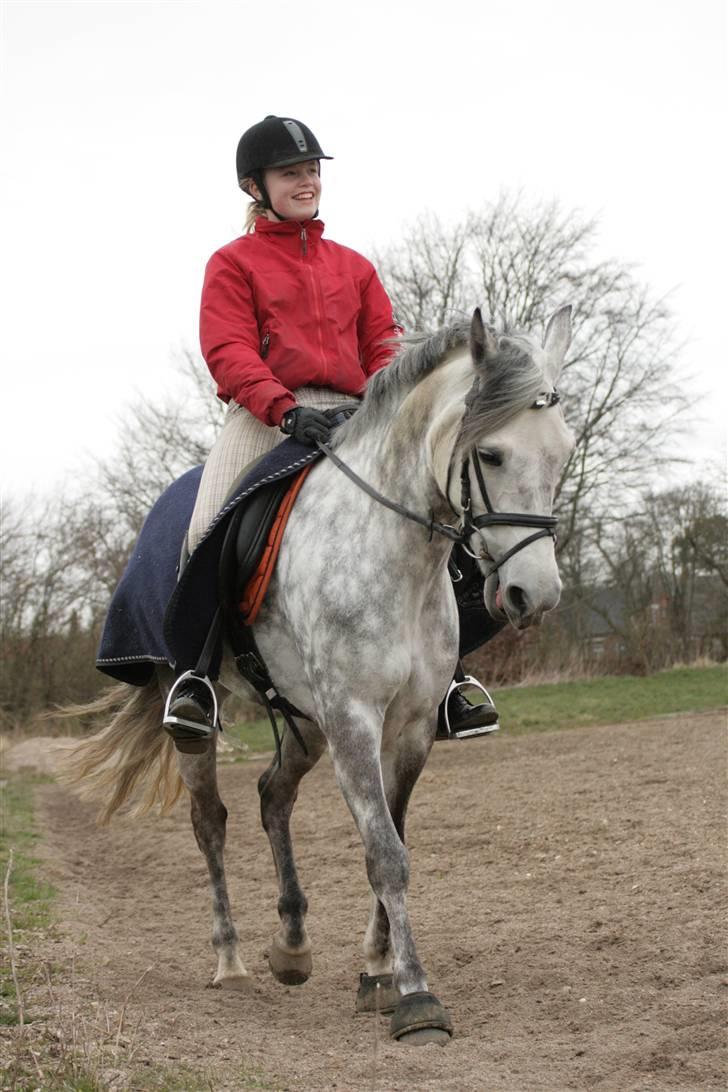 New Forest Odbjergs Isabell Udlånt billede 14