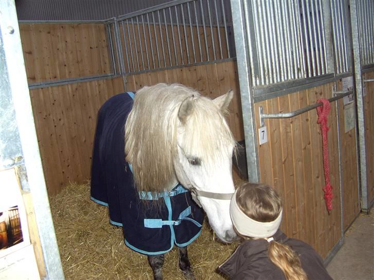 Anden særlig race Charlie- gammel part - et lille kys:-) billede 4