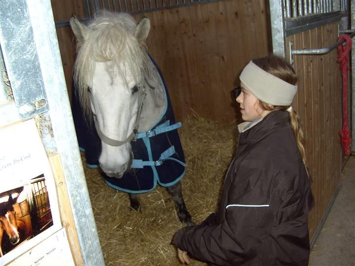 Anden særlig race Charlie- gammel part - øhh tør jeg gå hen til hende???:-) billede 5