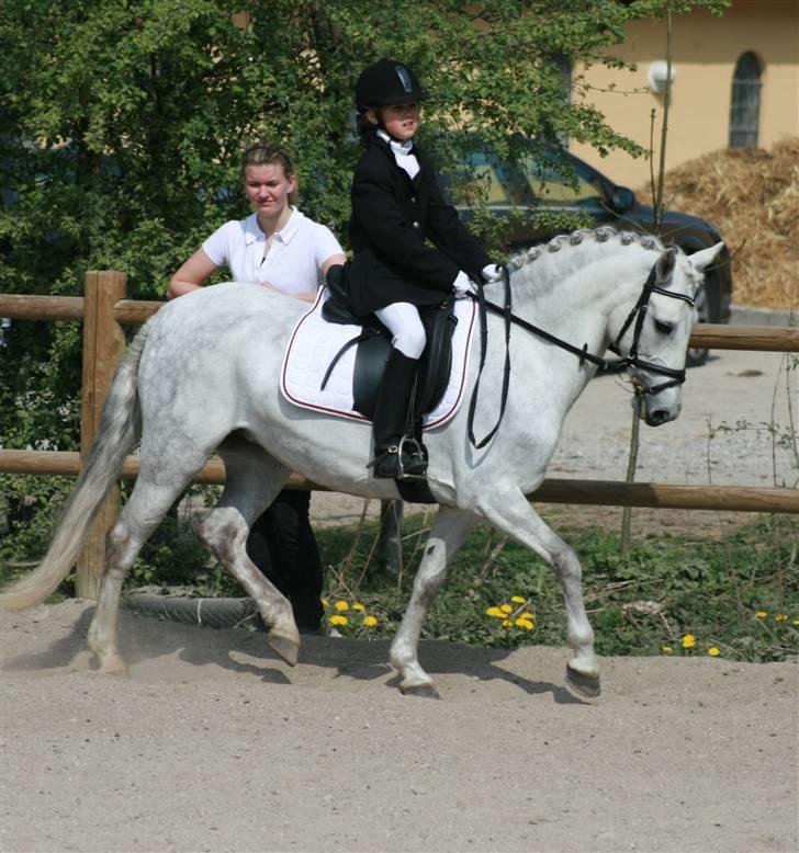 Anden særlig race Koh-I-Noor R.I.P - Min første LC3 billede 4