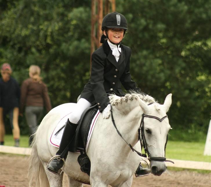 Anden særlig race Koh-I-Noor R.I.P billede 6