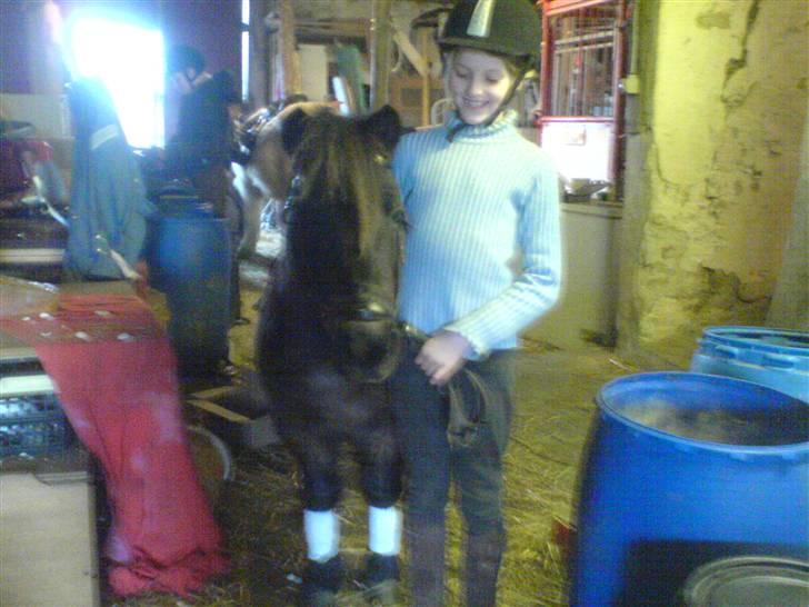 Shetlænder tarzan<33 - laura og mig billede 2