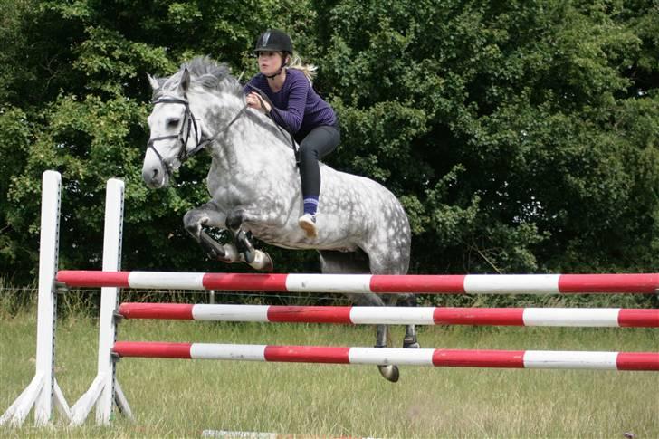 New Forest Odbjergs Isabell Udlånt billede 18