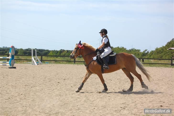 Anden særlig race Andrea <3 - Gl. Part :'/ - Præmie overrakkelse billede 16