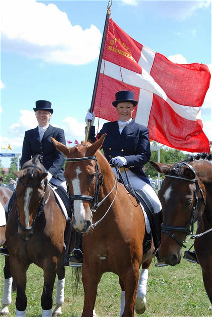 Anden særlig race Melvads Marquis - Marquis og jeg med høj hat og kjole.....vi red med Gråsten Rideklub´s fane. Juli 2010 billede 5