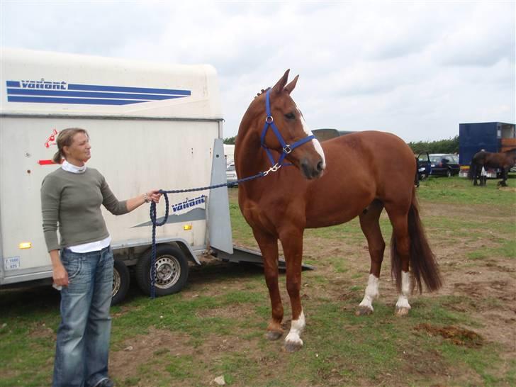 Anden særlig race Melvads Marquis - Tina og Basse mand på stævnepladsen i Rødekro juni 2008 billede 6