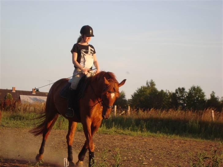 Anden særlig race Freja<33 - Nyt ... Fotogrfen er elendig til at tage billeder xD hehe, Undskykd Maja, men det er rigtigt :] billede 4