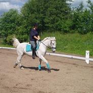 Anden særlig race Magic