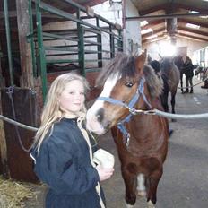 Anden særlig race Flobbi 