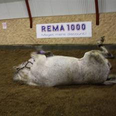 Anden særlig race Line ( halvpart)