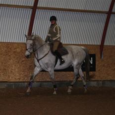 Anden særlig race Line ( halvpart)