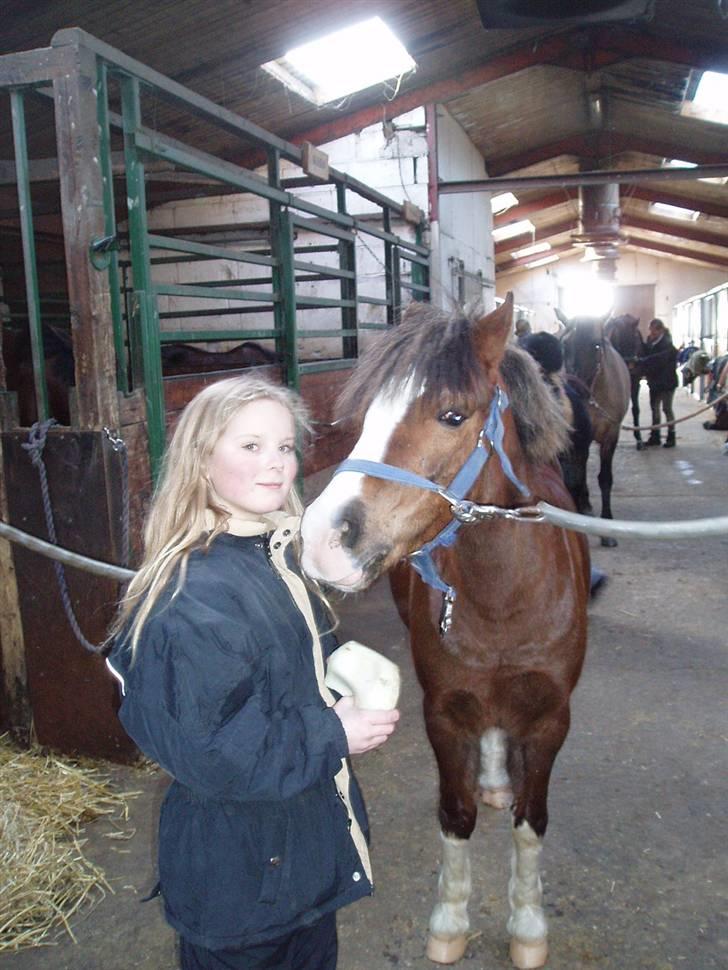 Anden særlig race Flobbi  - Velkommen til min lille guldklumps profil. Husk bedømmelsen og en lille hilsen :) billede 1