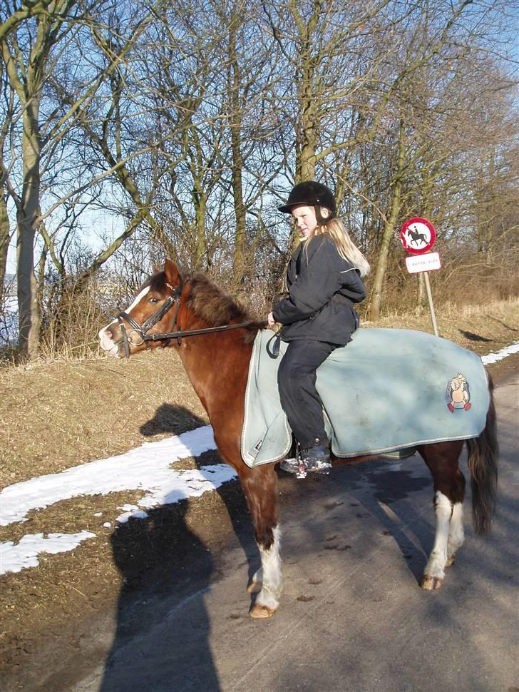 Anden særlig race Flobbi  - Dejlige lille skønhed (: billede 7