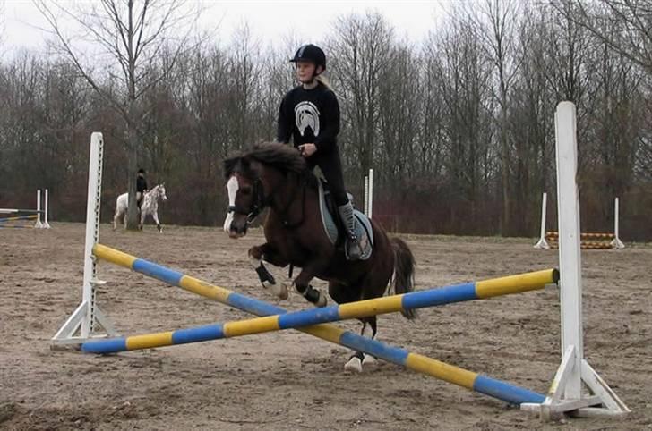 Anden særlig race Flobbi  - Ja tag jer ikke af min opstilling!:D HAHA alle laver fejl en gang imellem hehe billede 18