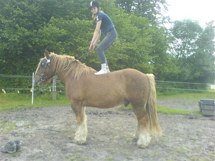 Jyde Tumling billede 19