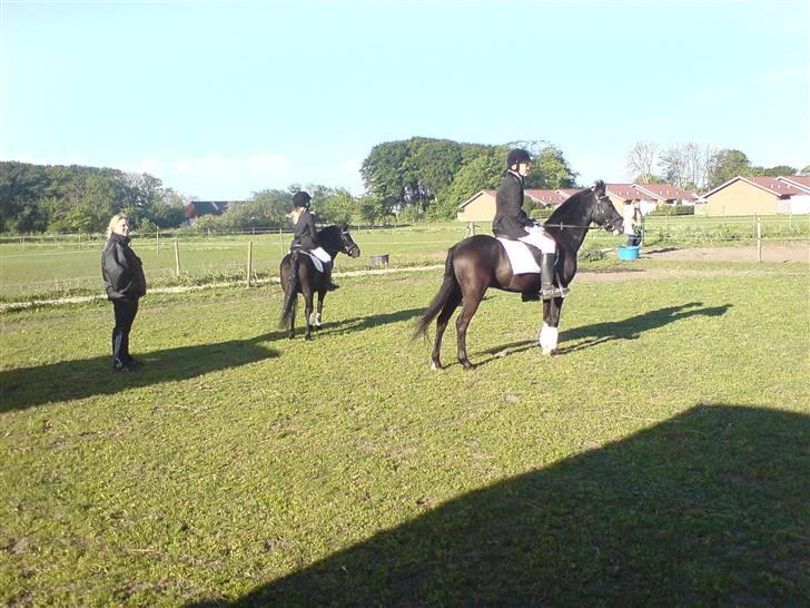 DSP sherrydan - midt 2 stævne inden mig og tilde skulle ind og varme op billede 13