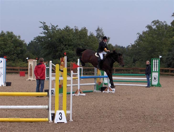 Anden særlig race Apollon/Polle(mor's)  - stævne i Hyor (: billede 12