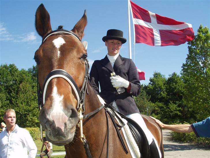 Dansk Varmblod Campari Mårsø  - sj.mesterskab 03 billede 11