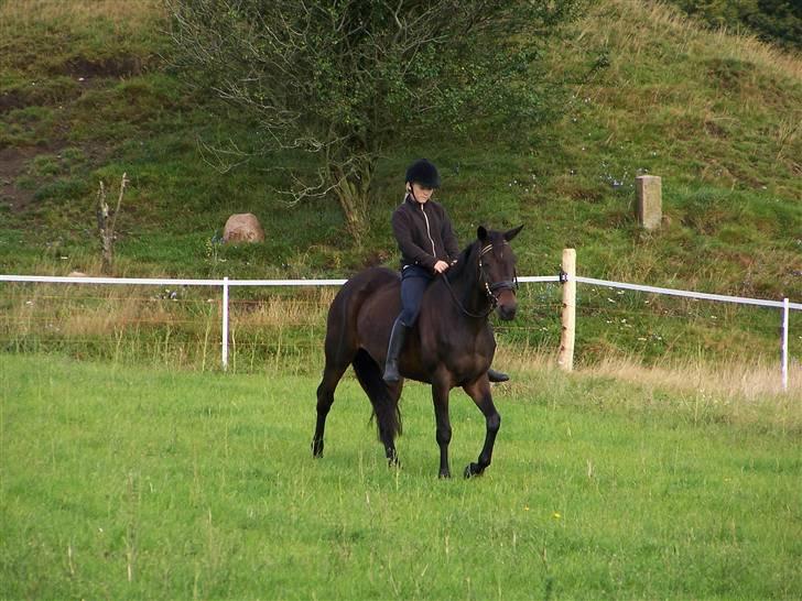 Anden særlig race Tyra - Første ridetur hjemme :) billede 3