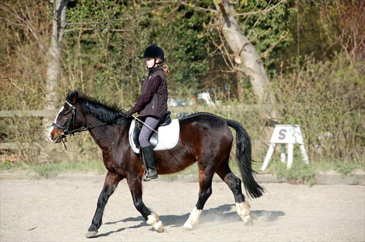 Connemara Sylvia | RIDER IKKE MERE - D. 17/4 09: I KNOW! Jeg sidder ikke perfekt! | Foto: Min Far | MÅ IKKE KOPIERES! billede 8