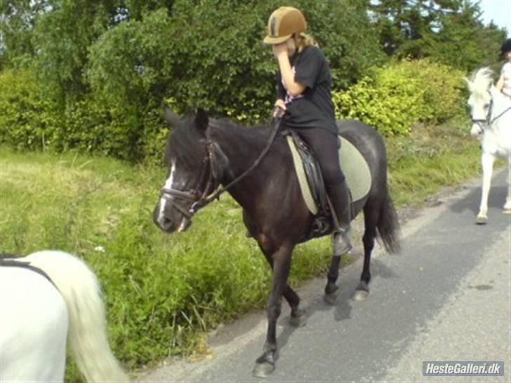 DSP Ca-pia *Død* <3 - på tur  .. billede 9