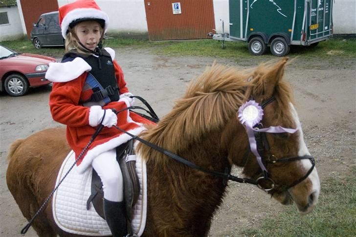 Anden særlig race Buller [slogt] - ja til nisse stævne du gik rigtig godt og vi slæbte 2 rossetter med hjem en i hver klasse<333 billede 8