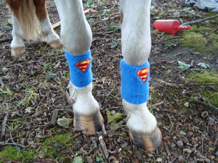 Miniature Superman Fra Supersesse - SUPERMAN !( i må kun kopirere billederne hvis i få lov af mig) billede 8