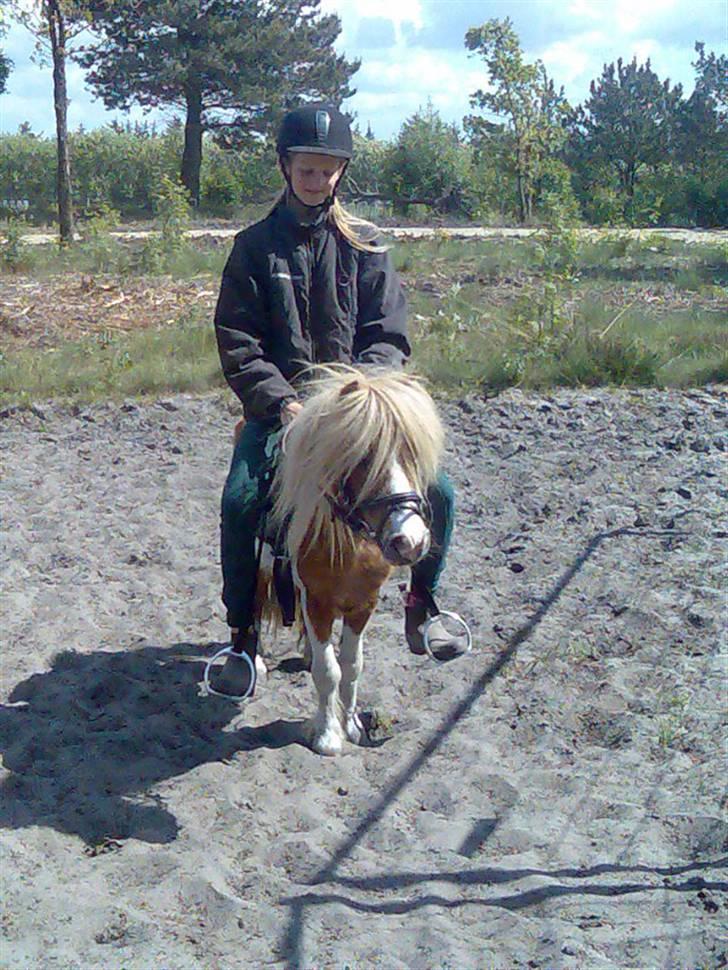 Miniature Superman Fra Supersesse - <3 han vil altid have en helt særlig plads i mit hjerte <3( i må kun kopirere billederne hvis i få lov af  mig ) billede 10