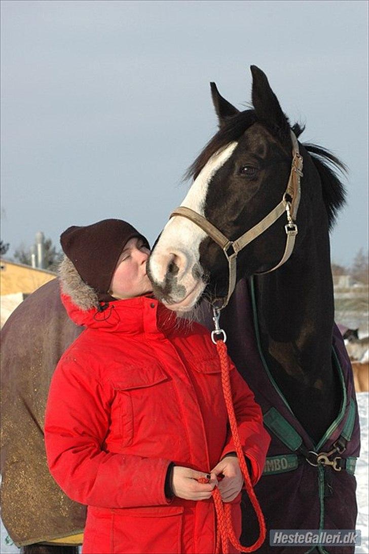 Holstener Prior's Maluta *SOULMATE* R.I.P 15/09/2011 - Maluta & hendes yndlings pony :*<3 billede 9