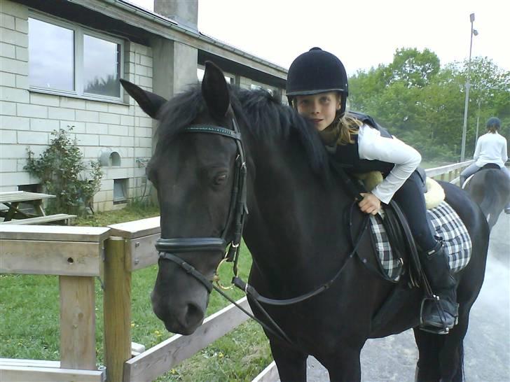 Belgisk Sportspony Lotus Royal SOLGT - mig og lotus rider dresur (; foto: rikke<3 billede 2