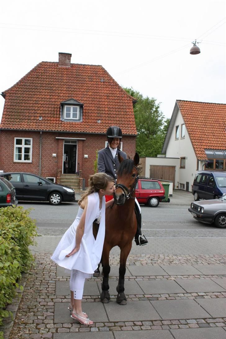 Anden særlig race Miss Flying Daisy - til min konfi :´) billede 13