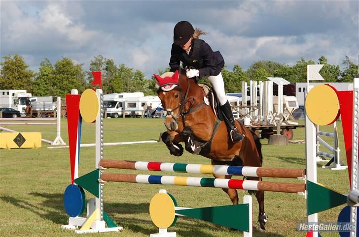 Anden særlig race Miss Flying Daisy - Stævne i hedensted Foto: Sandra Wanner billede 14