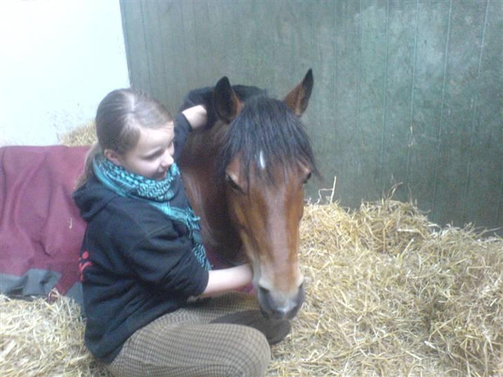Anden særlig race Miss Flying Daisy - Elsker dig min skat <3 billede 15