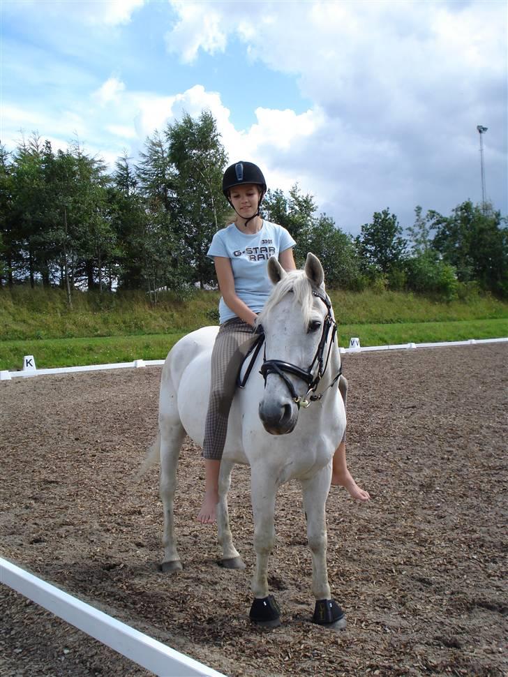 Anden særlig race Magic - Træning:) dagen efter han kom hjem fra sommergræs... billede 2