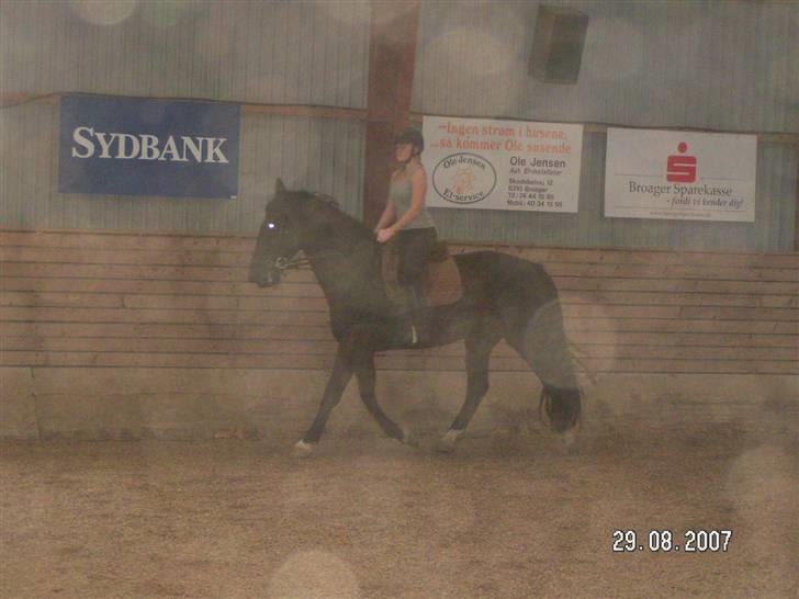 Anden særlig race Cindy - Eks halvpart - Ved det er en rigtig rigtig dårlig kvalitet, men det var det bedste af dem, hvor jeg rider (: billede 10