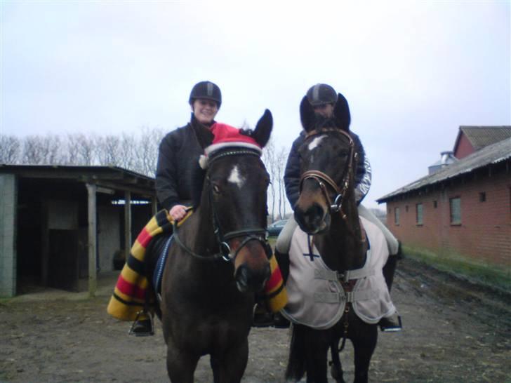 Holstener Carina II - solgt. - Goofy og maria, Carina og jeg. På vej på tur, juleaftens dag 2007 billede 6