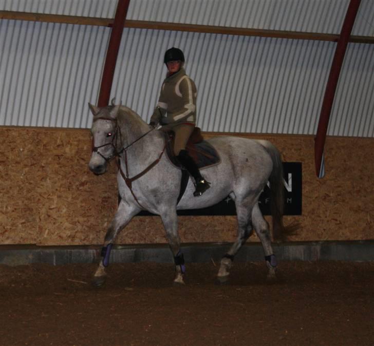 Anden særlig race Line ( halvpart) billede 3